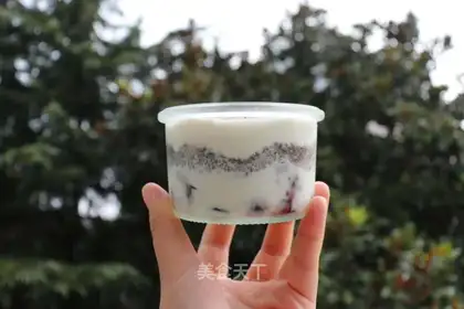 Cranberry Qia seed yogurt