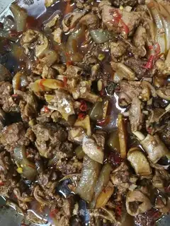 Pyramid tara duck