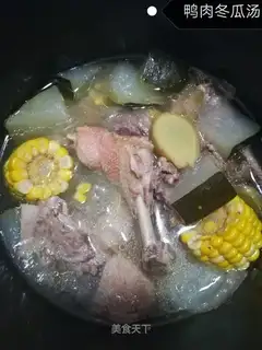 Duck melon soup