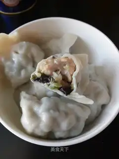 Pork dumplings