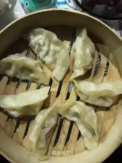 Squid
