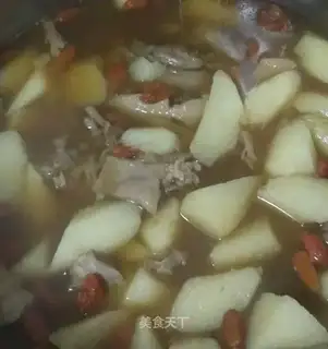 Old duck potion