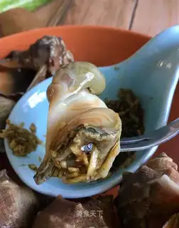 Ginger conch