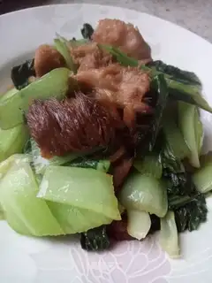 Monkey mushrooms