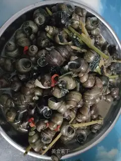 Snails