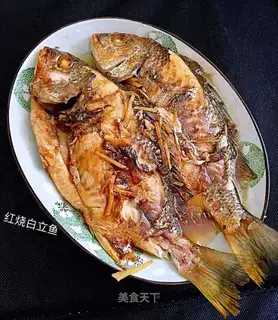 Red burning seafish