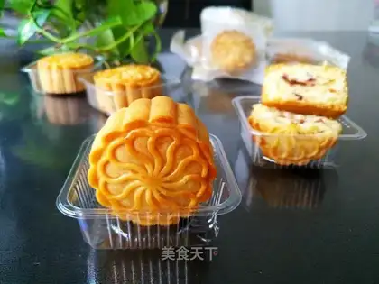 Coconut cranberry mooncake