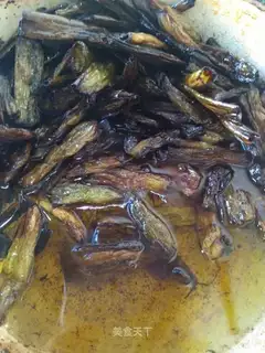 Onion oil