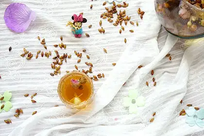 Three sprouts of barley tea