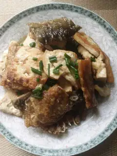 Tofu for the fish