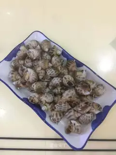 The white snail