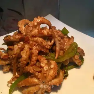 The octopus