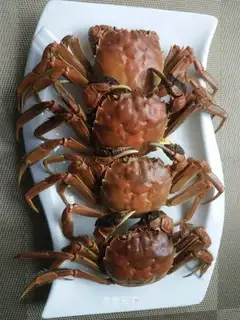 Fresh crabs