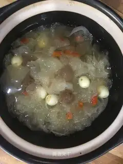 Silver gills and chords