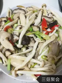 Three mushroom parties