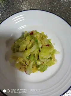The cabbage pickles