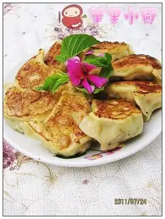 Fried dumplings with spinach and tofu