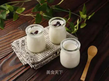 Homemade thick yogurt