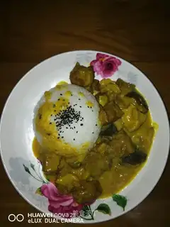 Curry beef rice