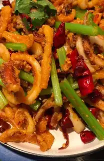 Squid