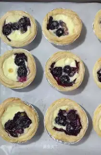 Blueberry maggots