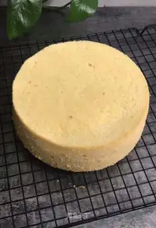 Bean-milk