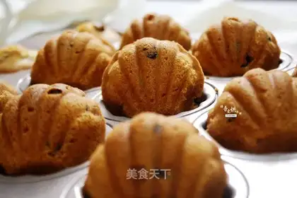 Cranberry Madeleine