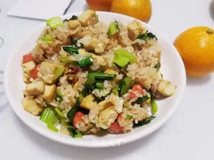 Soy-curded rice