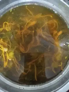 Worm and herbfish