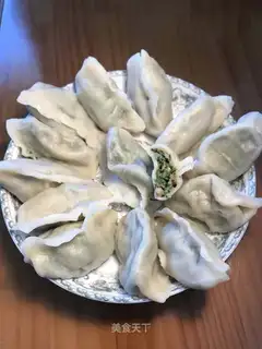 Pork dumplings
