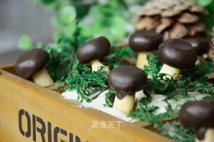 Mushrooms and cookies