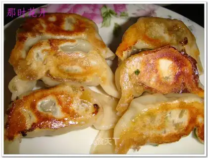 Pot sticker dumplings