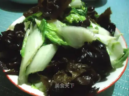 fungus and cabbage