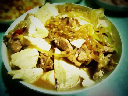 Stewed vermicelli with pork and tofu