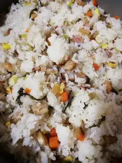 Cat rice