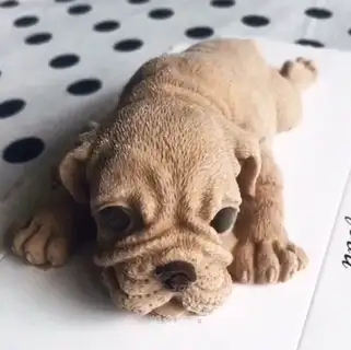 Sanddog Muss ice cream