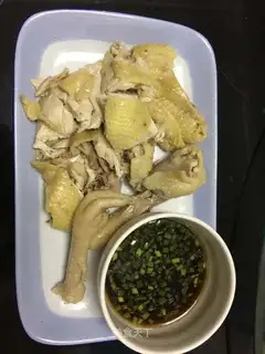 White pheasant