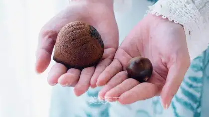 Madeleine chestnut