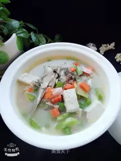 Squirty tofu