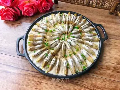 Salmon