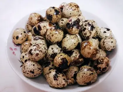 Quail eggs