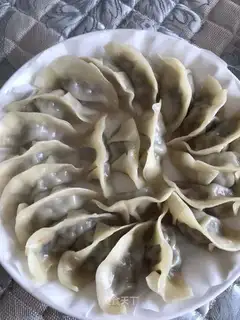 dumplings