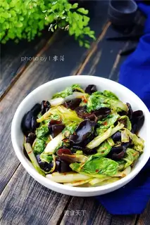 Beagle and wood