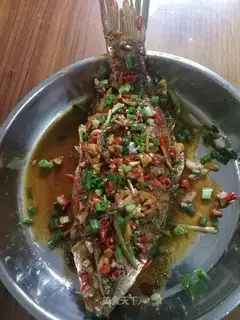 Carp