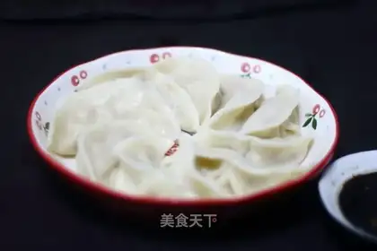 Pork and cabbage dumplings