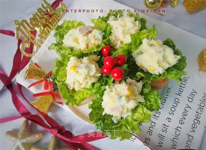 Christmas ring salad bag