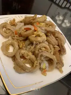 Pretzel squid