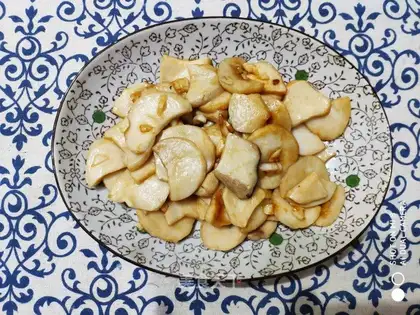 Pelican apricot
