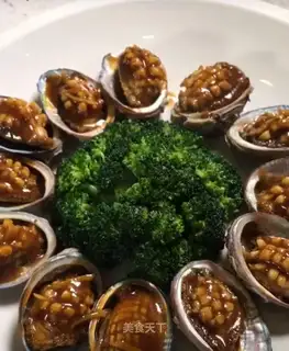 Red abalone