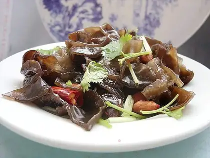 Auricularia auricula